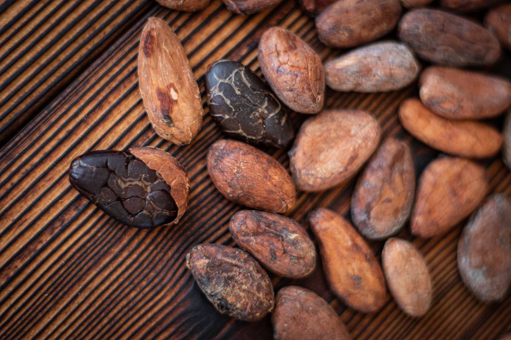 Raw Cocoa - Contentiment Global Resources